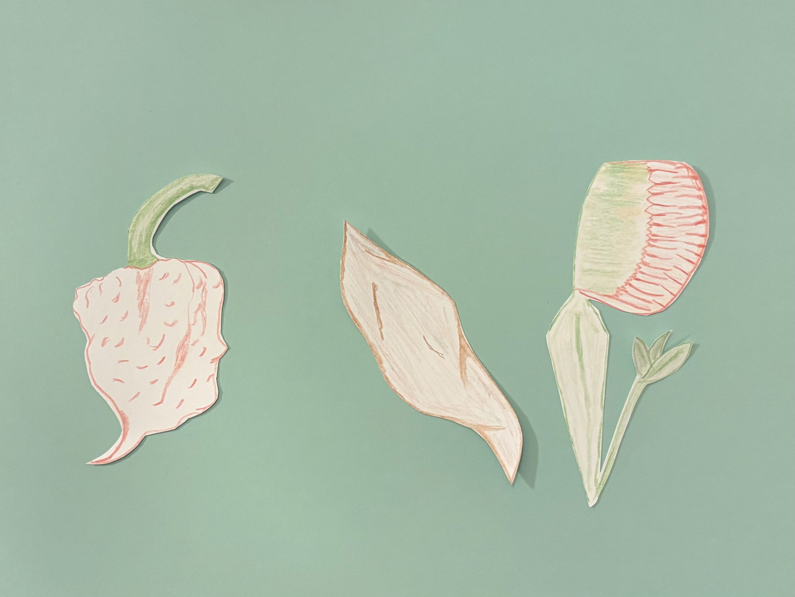 Team Names: Plants